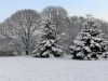 ABF14836-564E-473C-82A3-A344CE8F38CE.jpeg
