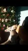 Screenshot_20210218-101552_Gallery.jpg