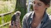 16kestrels-nikolaj-1260x708.jpg