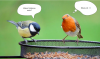 upload_2021-4-1_17-12-14.png