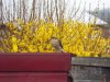DSCF0999.jpg