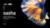 Hush Hush 909 - Sasha 09.07.21 [Event Cover].jpg