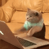 upload_2021-4-25_20-57-51.gif
