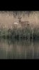 Screenshot_20210512-124228_Gallery.jpg