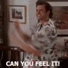 ace-ace-ventura.gif