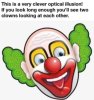 2CEEC3BD-F9BA-4BA4-8246-8EDAEB4FF6EE.jpeg