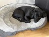 IMG_5266.jpeg
