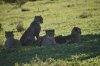 DSC_0933.jpg