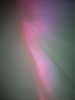 IMG_8207.jpeg