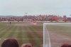 IMG_2895.jpeg