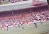 IMG_2900.jpeg