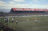 IMG_2920.jpeg