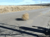 upload_2024-8-1_12-28-35.gif