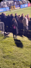 upload_2025-3-26_8-11-44.png