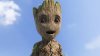 upload_2025-4-24_9-32-56.jpeg