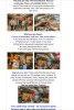 IMG_8765.jpeg
