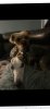 Screenshot_20250801_112947_Facebook.jpg