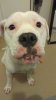 IMG-20180131-WA0005.jpeg