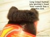 4D96E384-BC43-40C6-BD45-6206A1653319.jpeg