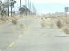 giphy (1).gif