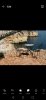 Screenshot_20190713_163625_com.android.gallery3d.jpg
