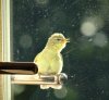 DSC04771.jpg