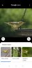 Screenshot_20190722_173404_com.google.android.googlequicksearchbox.jpg