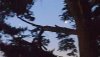 20200820_213013.jpg
