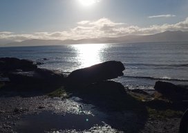 Sionnach