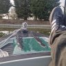 Boaty Tyke