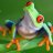 Tyke The Tree-Frog